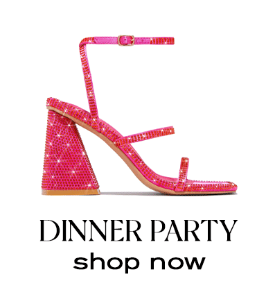 DINNER PARTY shop now 