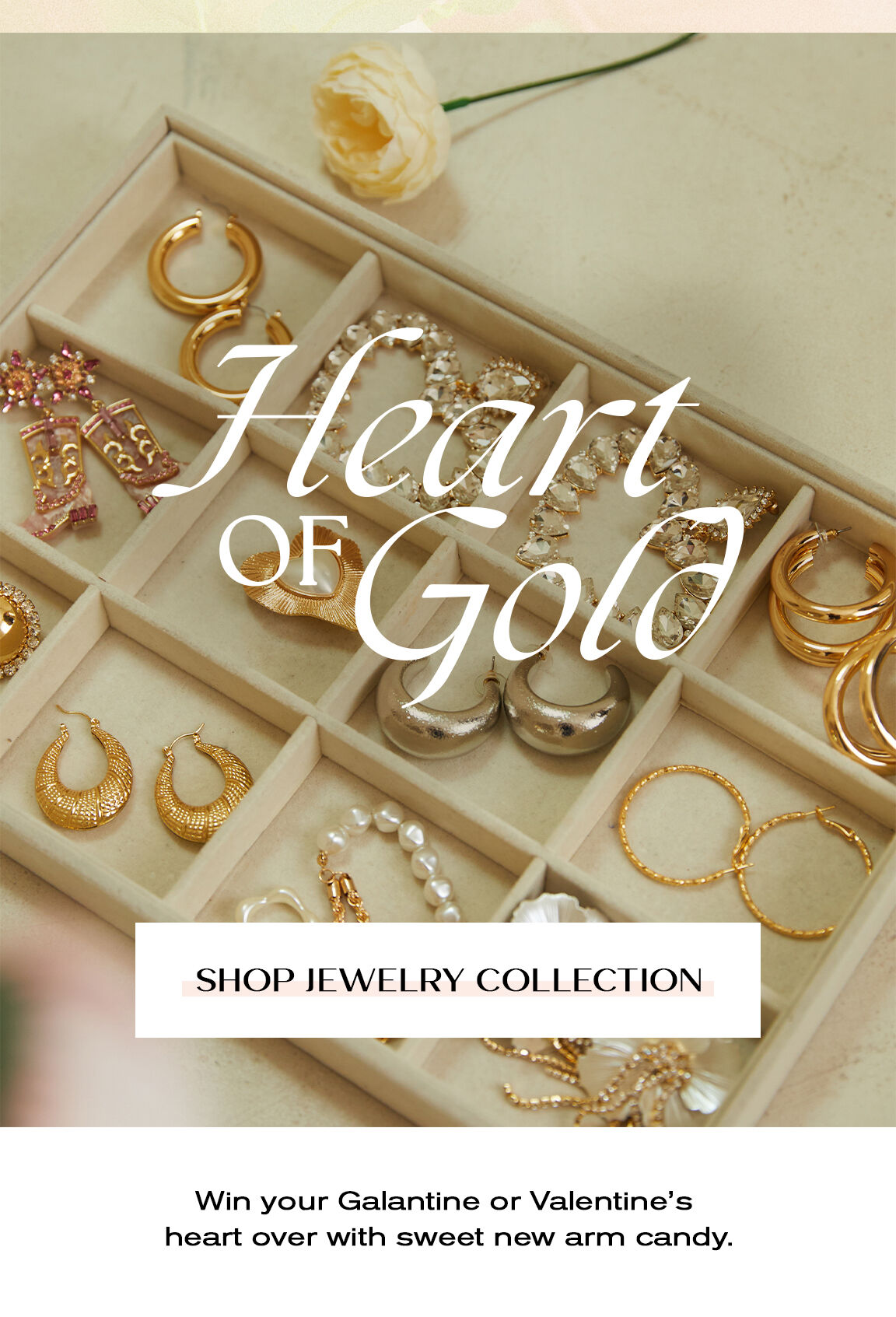  Win your Galantine or Valentines heart over with sweet new arm candy. 